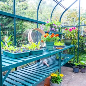 2 Tier Greenhouse Staging
