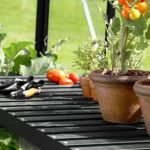 1 Tier Greenhouse Staging