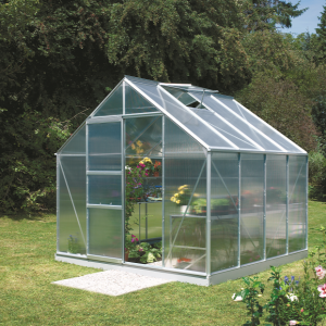 wp-image41364964081945.png