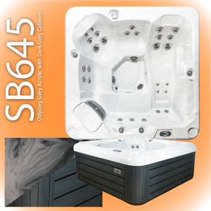 wp-image75010188968313.png
